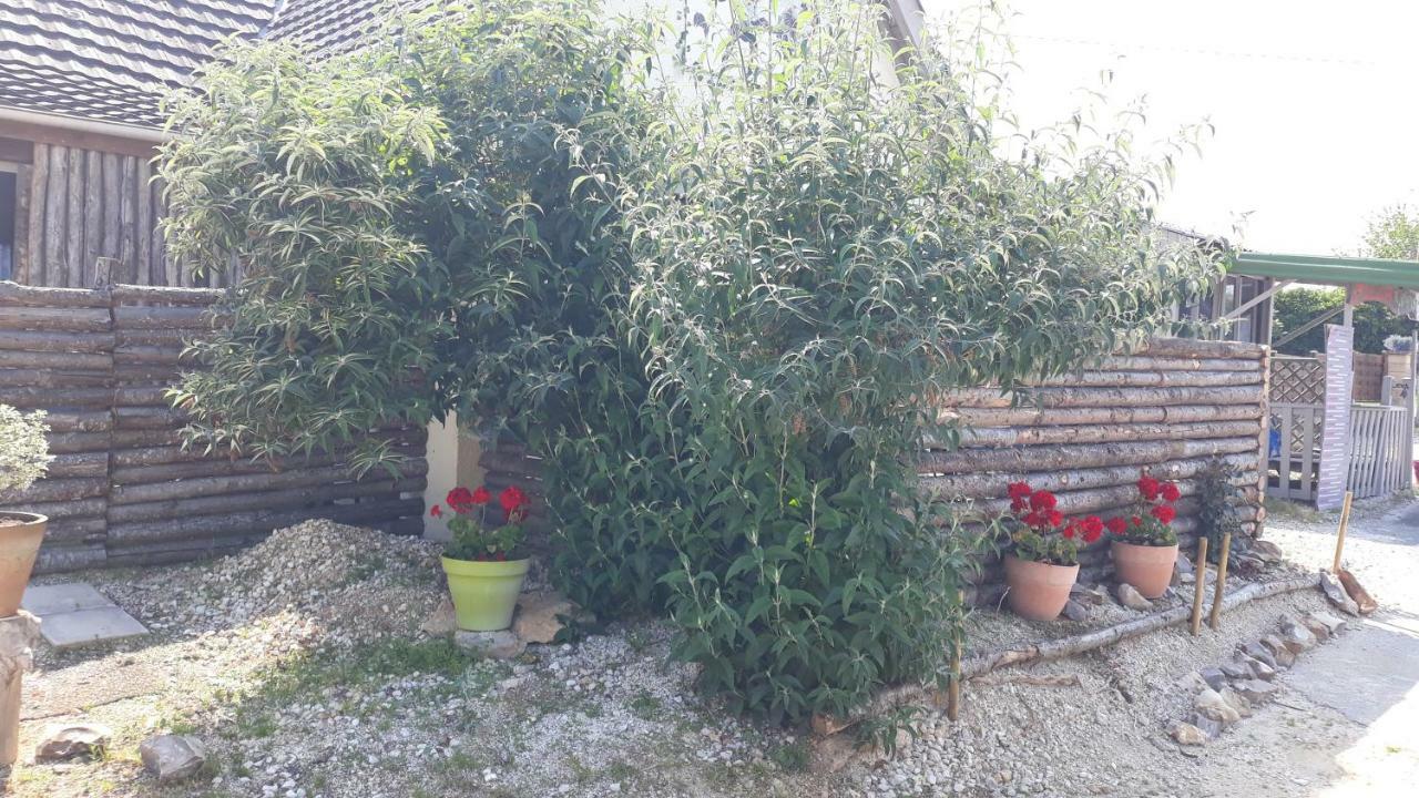 Prehistogite Saint-Genies Bagian luar foto
