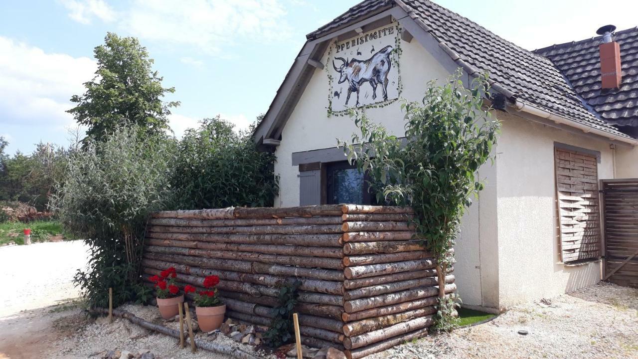 Prehistogite Saint-Genies Bagian luar foto